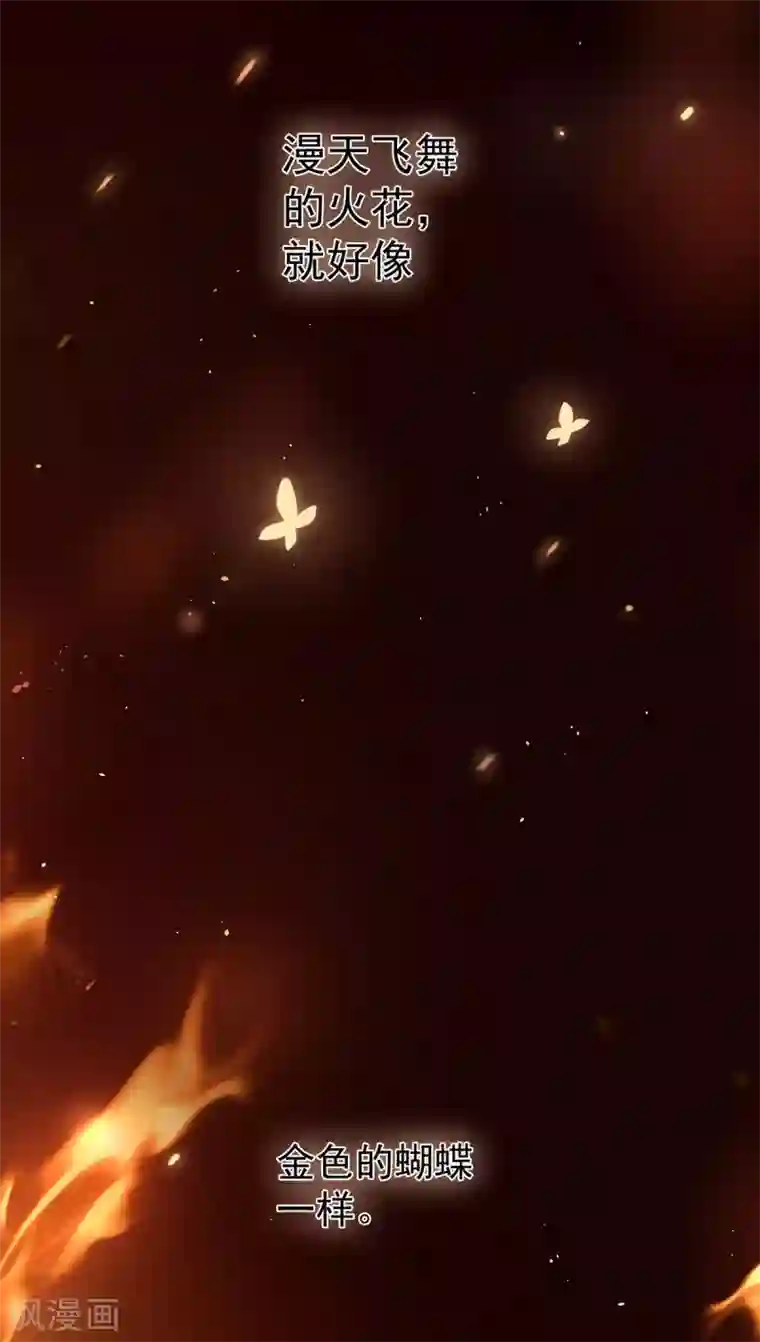 女帝的后宫第223话 毁容