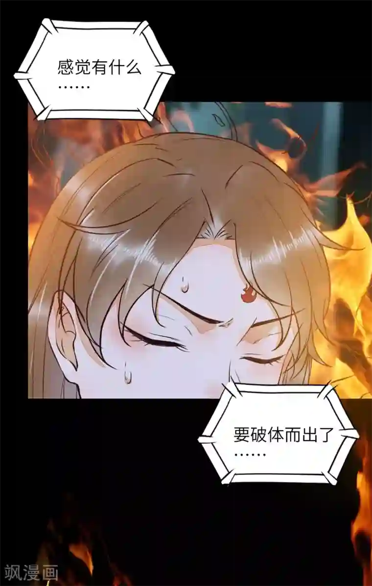 杀手王妃不好惹第80话 破体升级