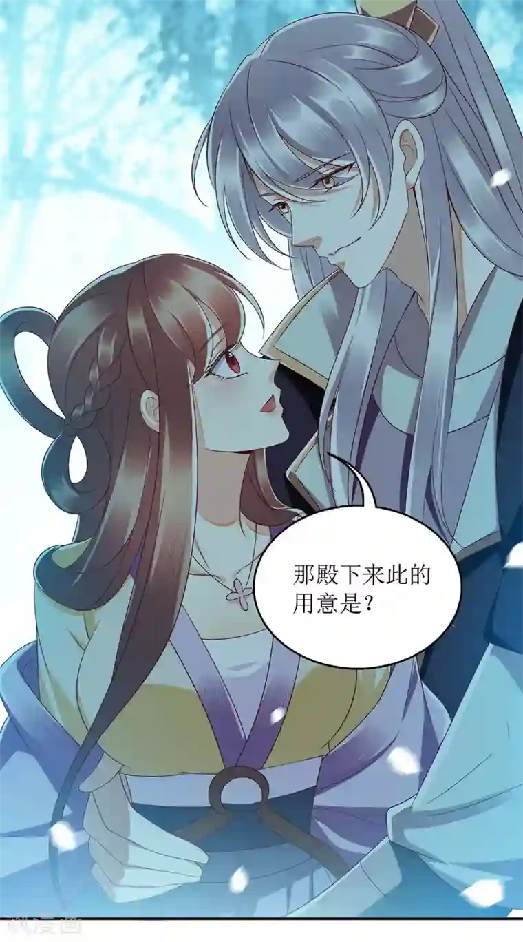 一品嫡女第176话 准备伏击