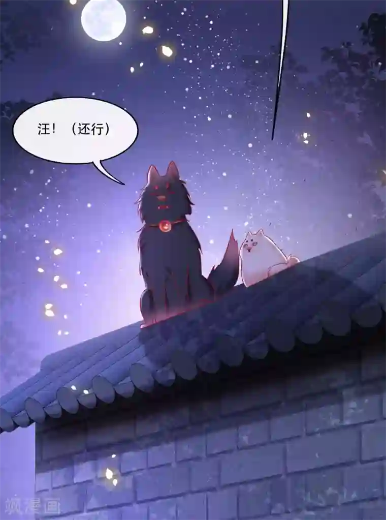 这个王妃路子野第59话 是时候，该收网了