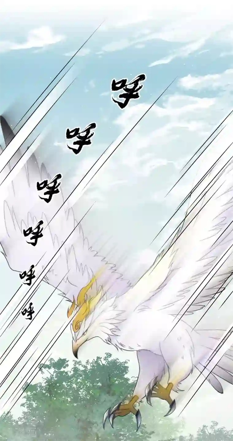 长相思第10话 白羽金冠雕2