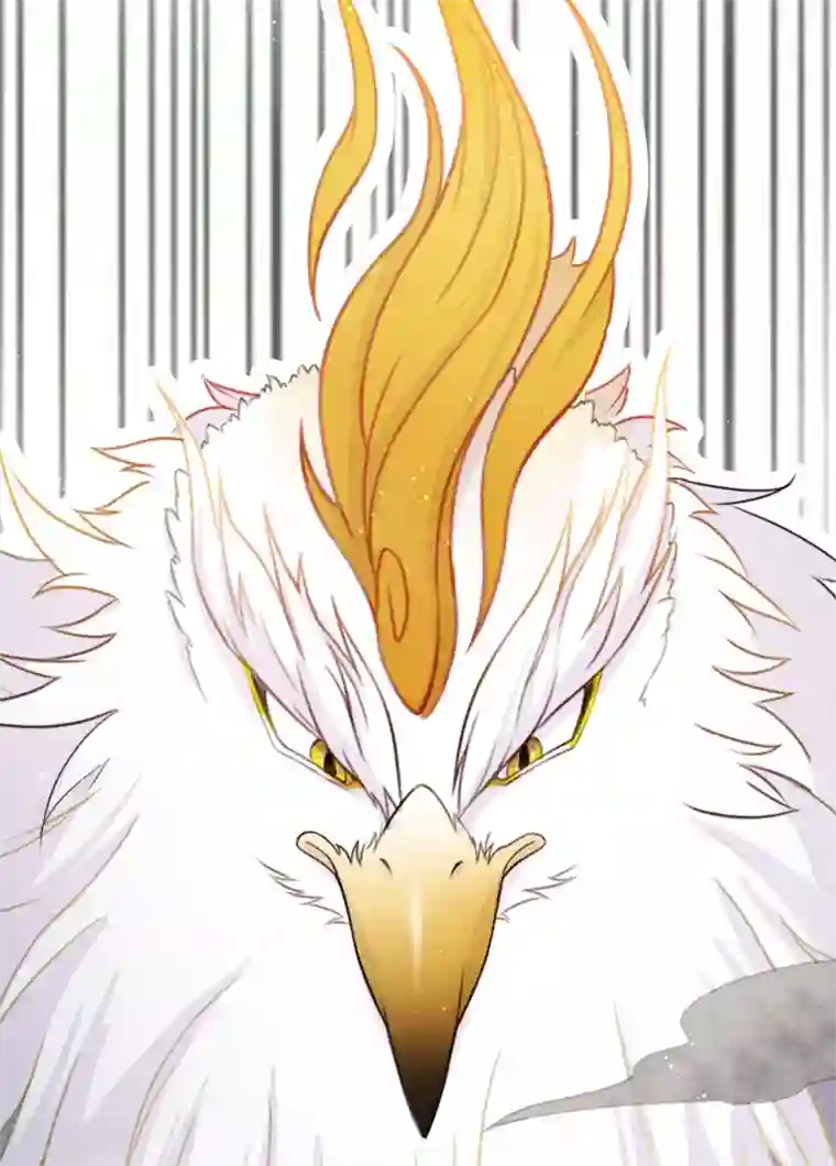 长相思第10话 白羽金冠雕2