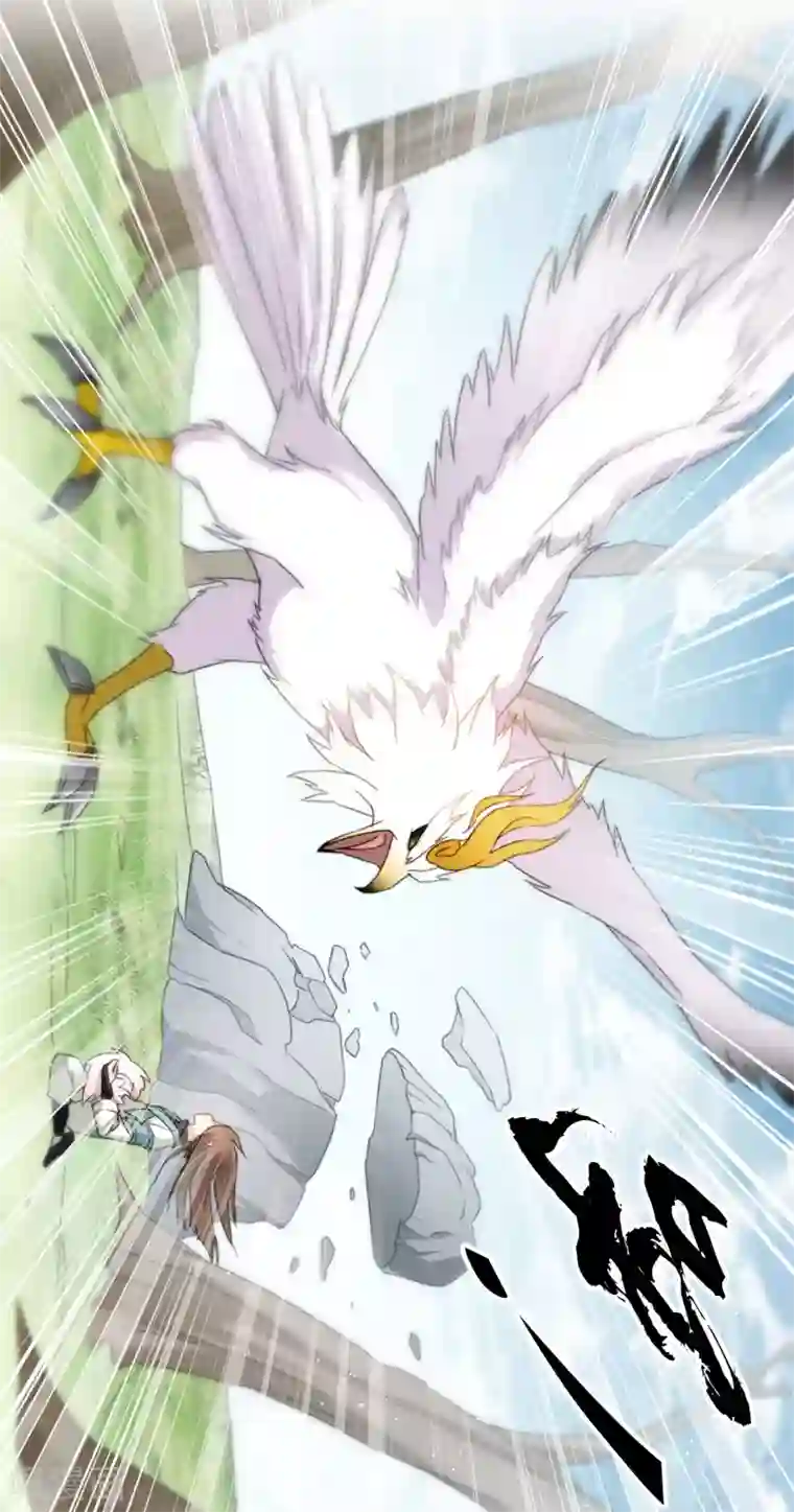 长相思第10话 白羽金冠雕2