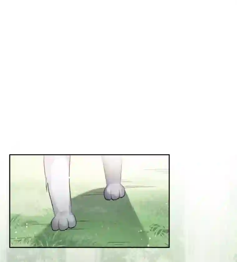 长相思第10话 白羽金冠雕2