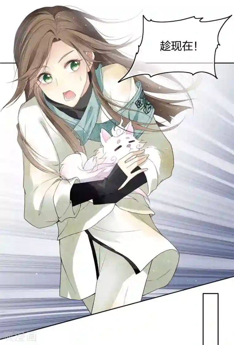 长相思第10话 白羽金冠雕2