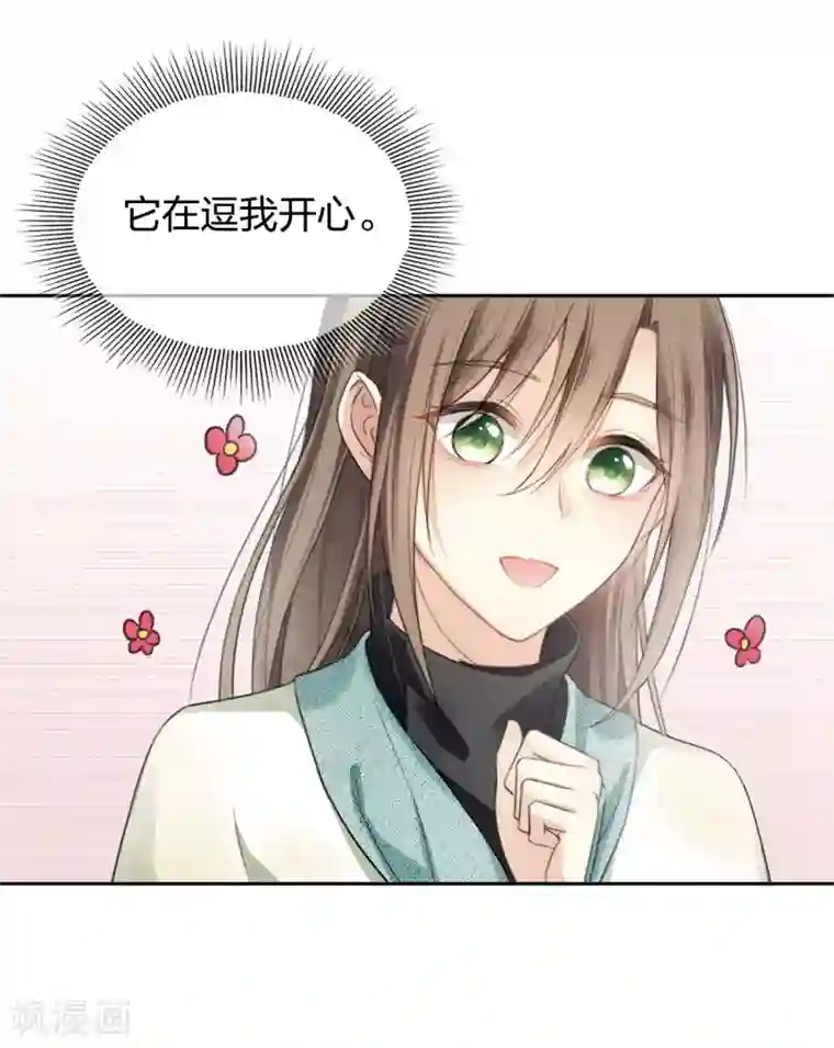 长相思第10话 白羽金冠雕2