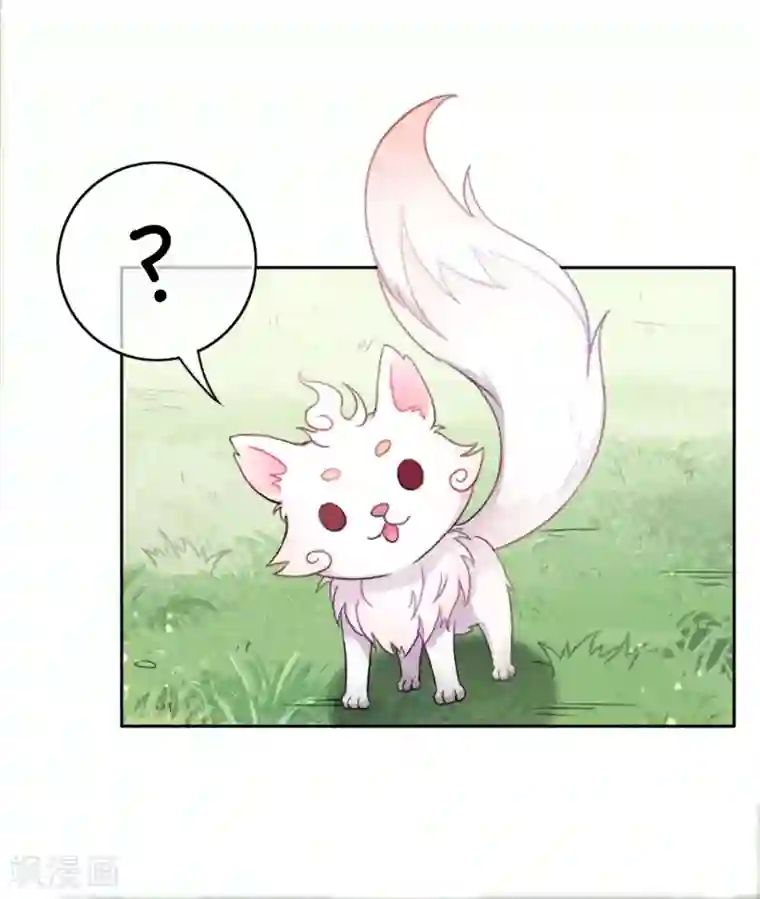 长相思第10话 白羽金冠雕2