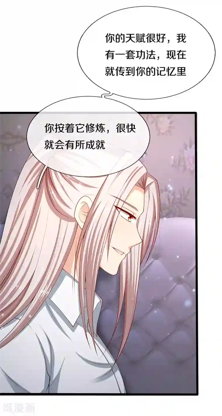仙尊奶爸当赘婿第200话 北寒天阴，寒凤虚影