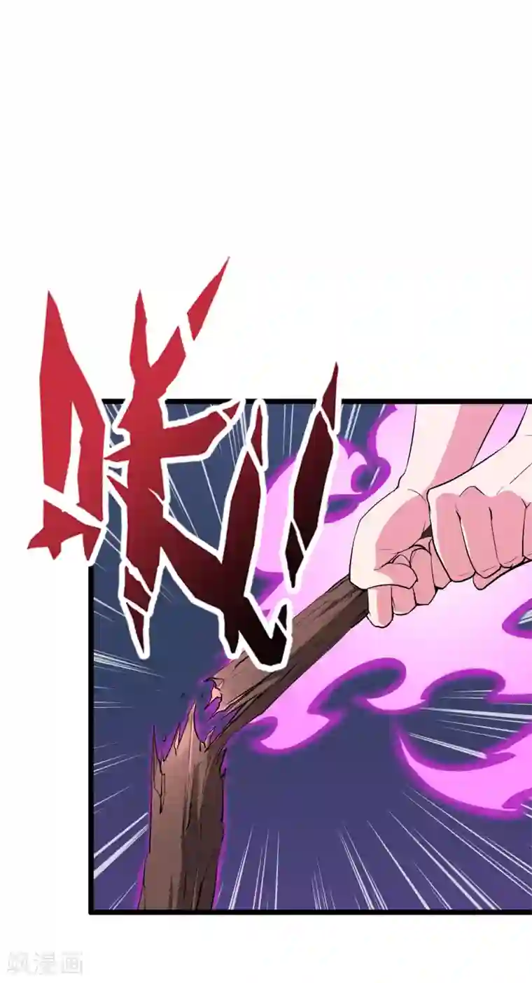 伏天圣主第2季90话 难得一见的星落！