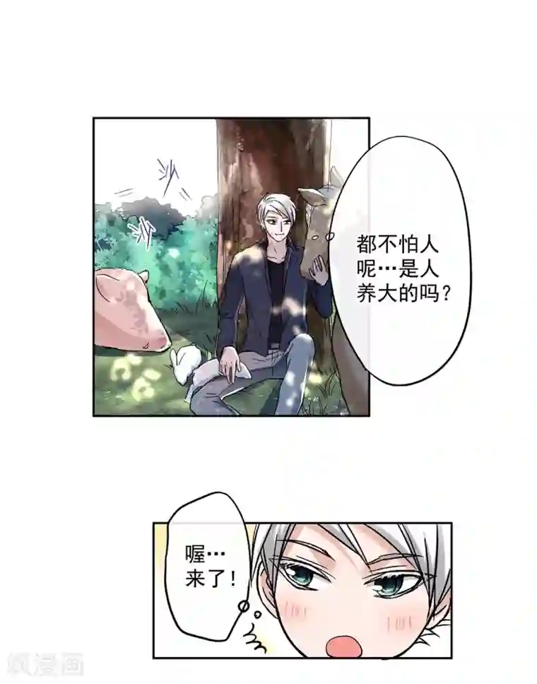 乐园的宝藏第55话 被俘获的少女心