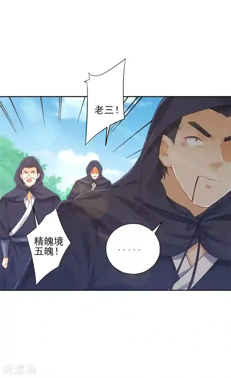 一等家丁第230话 星阵图