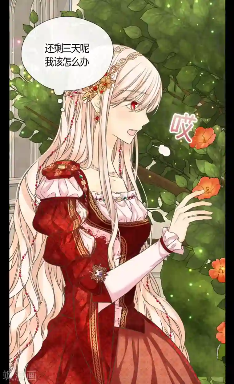 皇帝的独生女第434话 和哈维尔见面