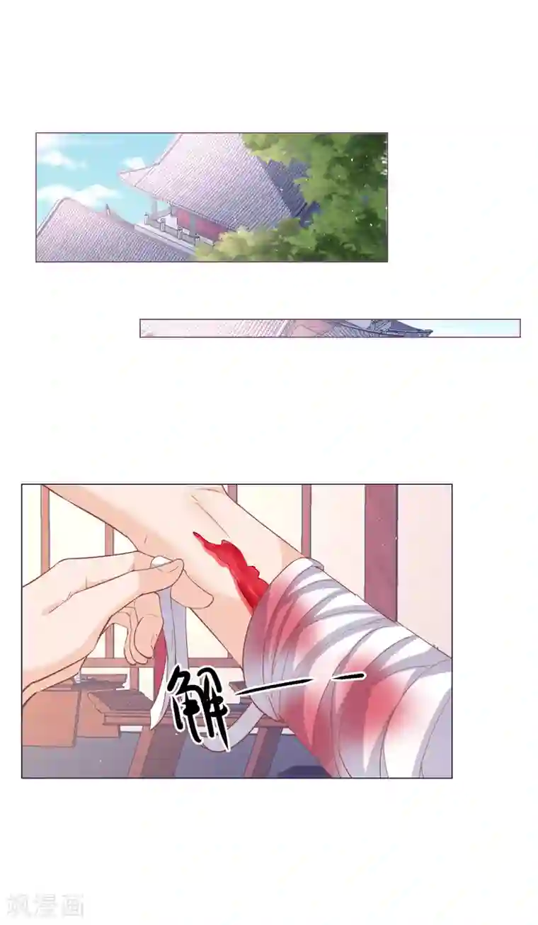 穿越到春秋男校当团宠第85话 我喜欢你，与契约无关