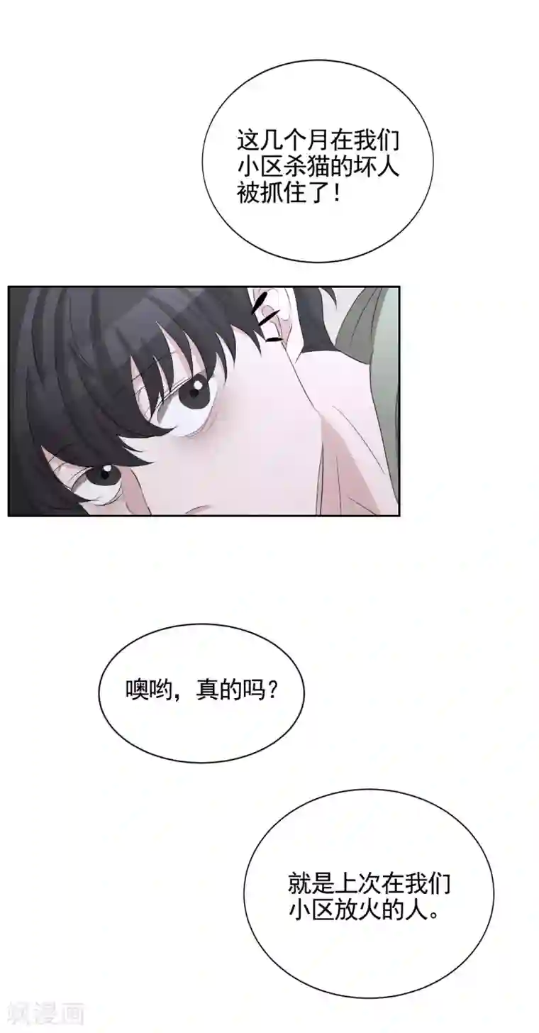 影子侦探第31话 三角关系？过激杀人？