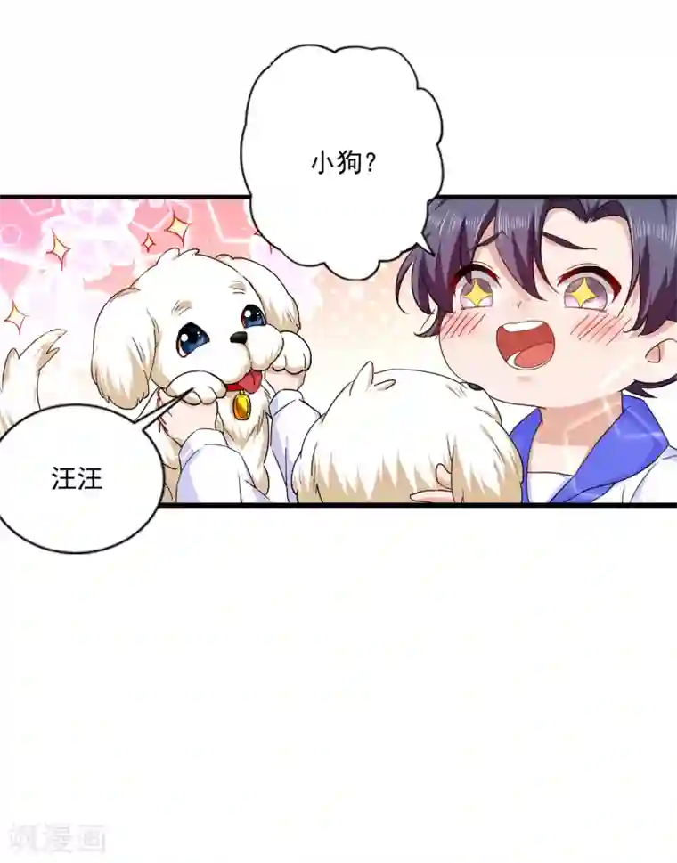 入骨暖婚（漫画版）第368话 我有狗狗啦~