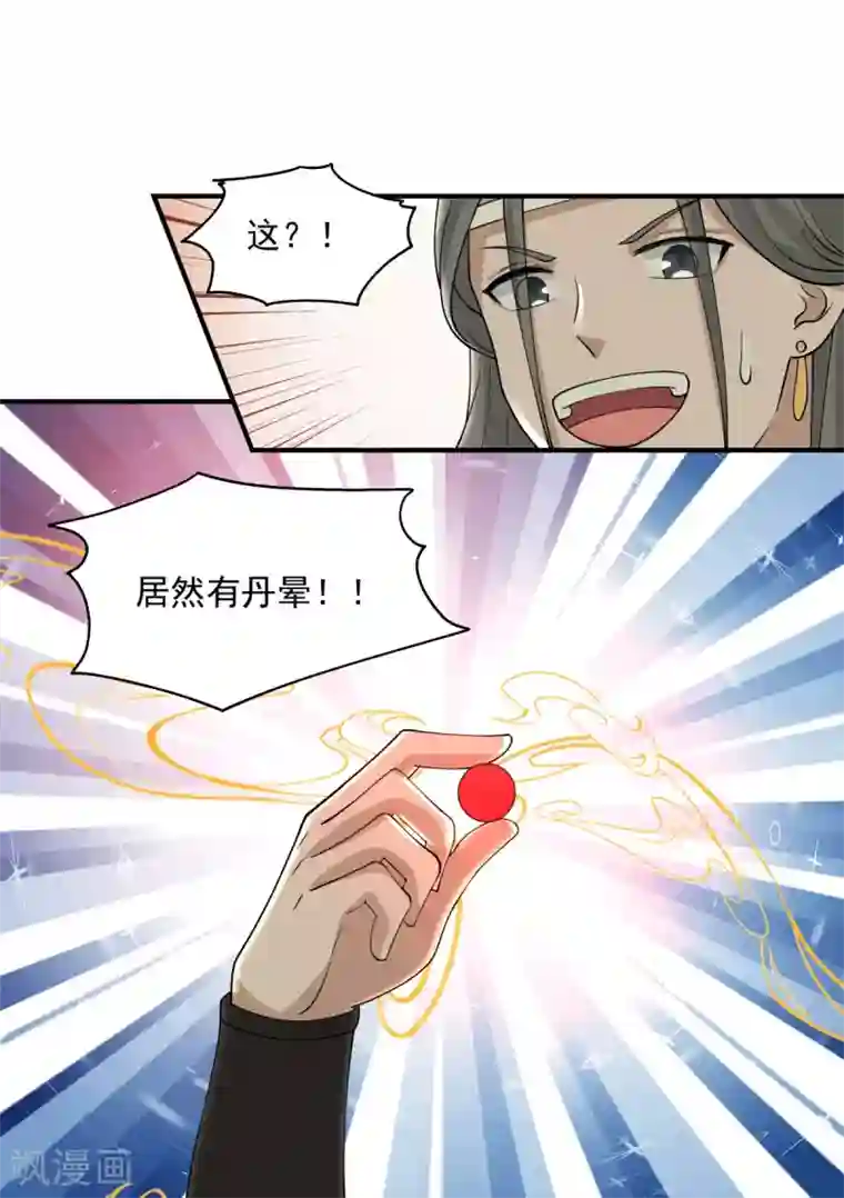 混沌丹神第169话 炼丹奇才