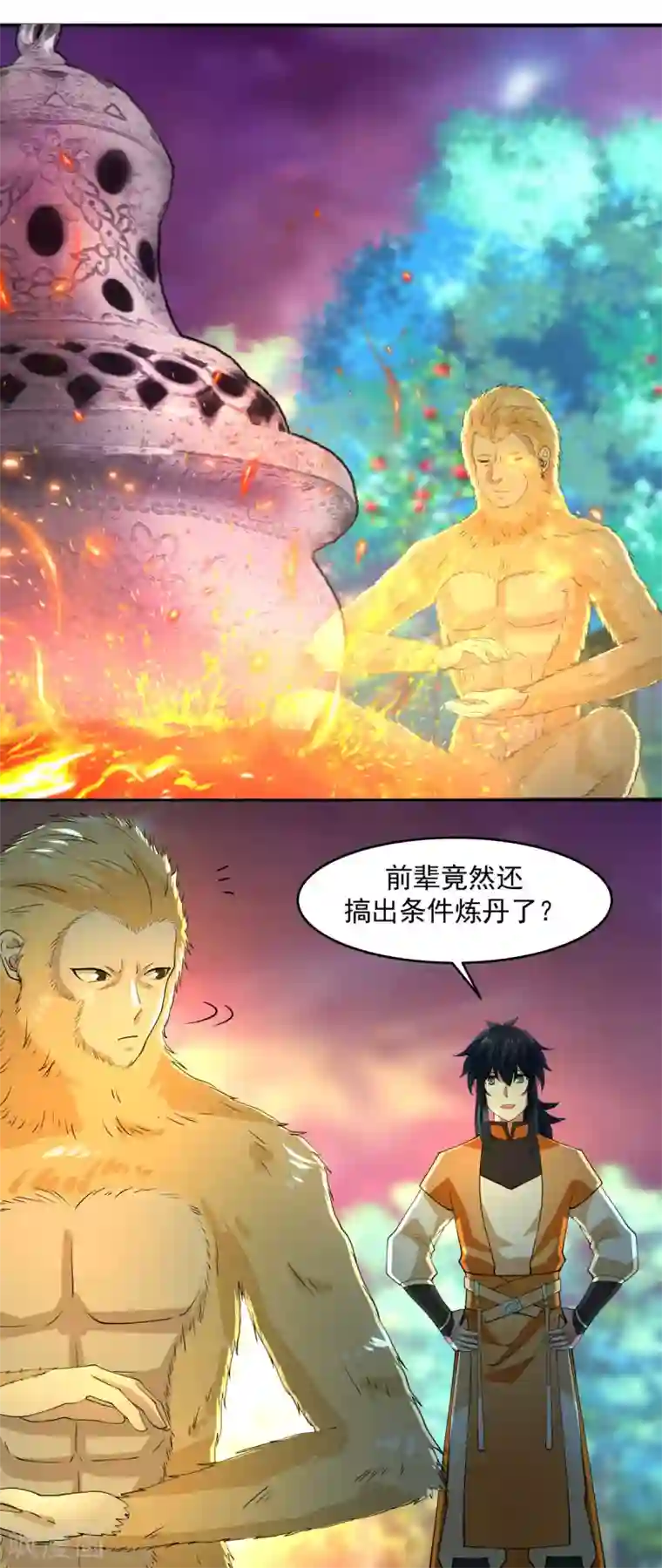 混沌丹神第169话 炼丹奇才