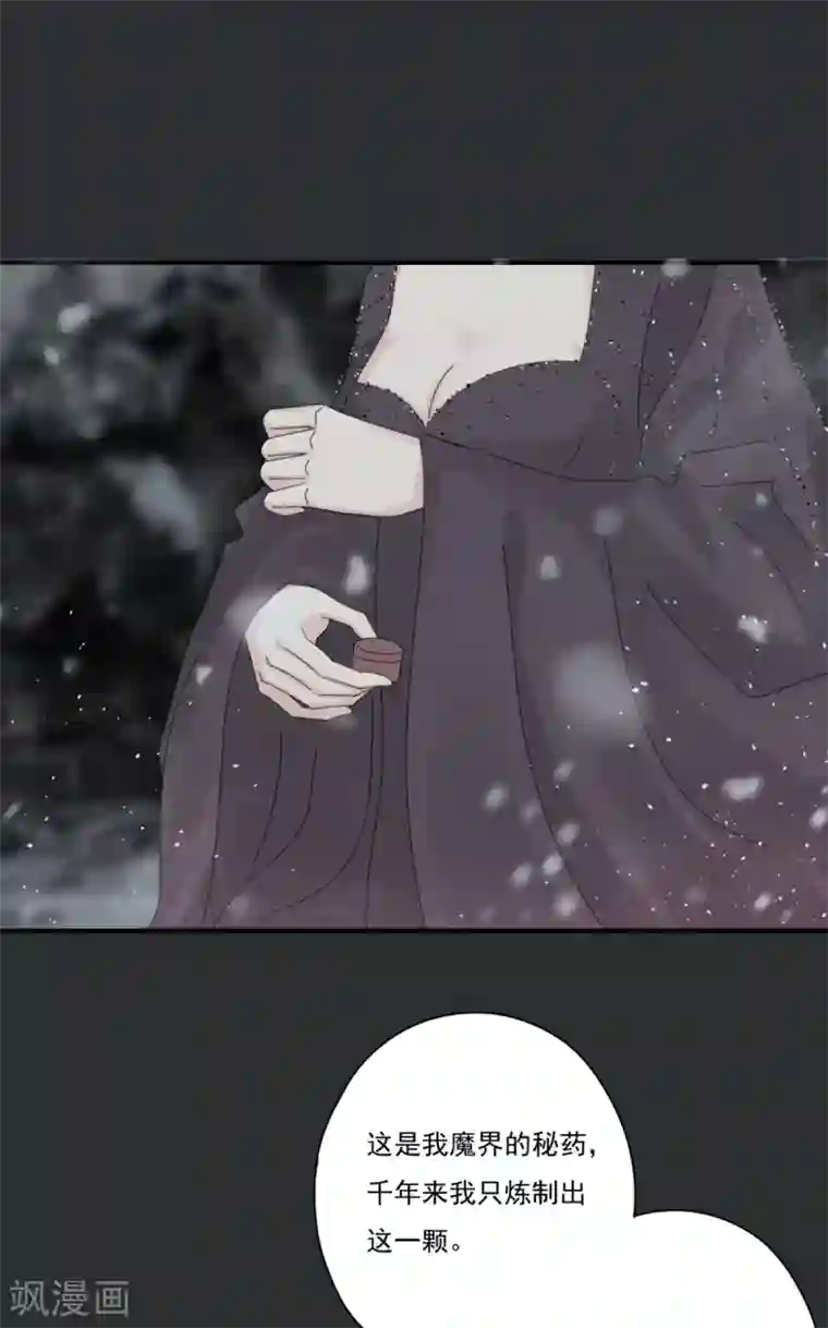 冷邪冥王的心尖宠第41话 我不会放弃她