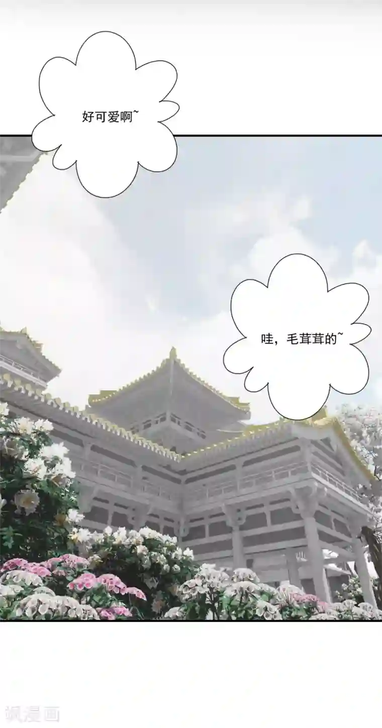 冷邪冥王的心尖宠第41话 我不会放弃她