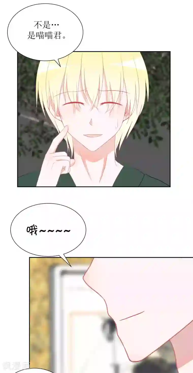 圈地自萌第34话 房租