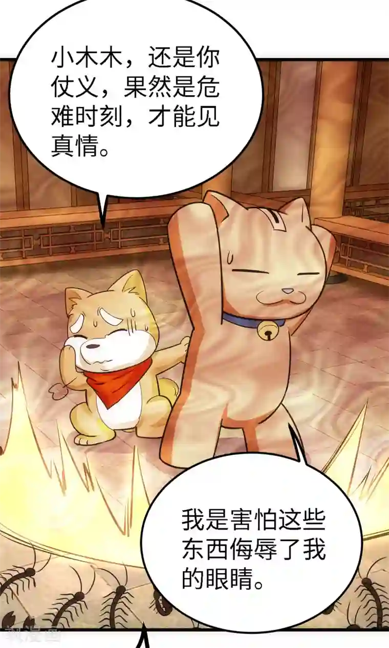 神经武林之盖世无双第55话