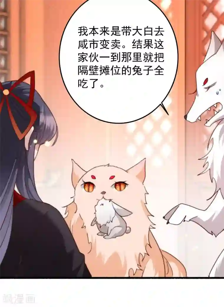 驭兽狂妃第25话 让他们先斗吧