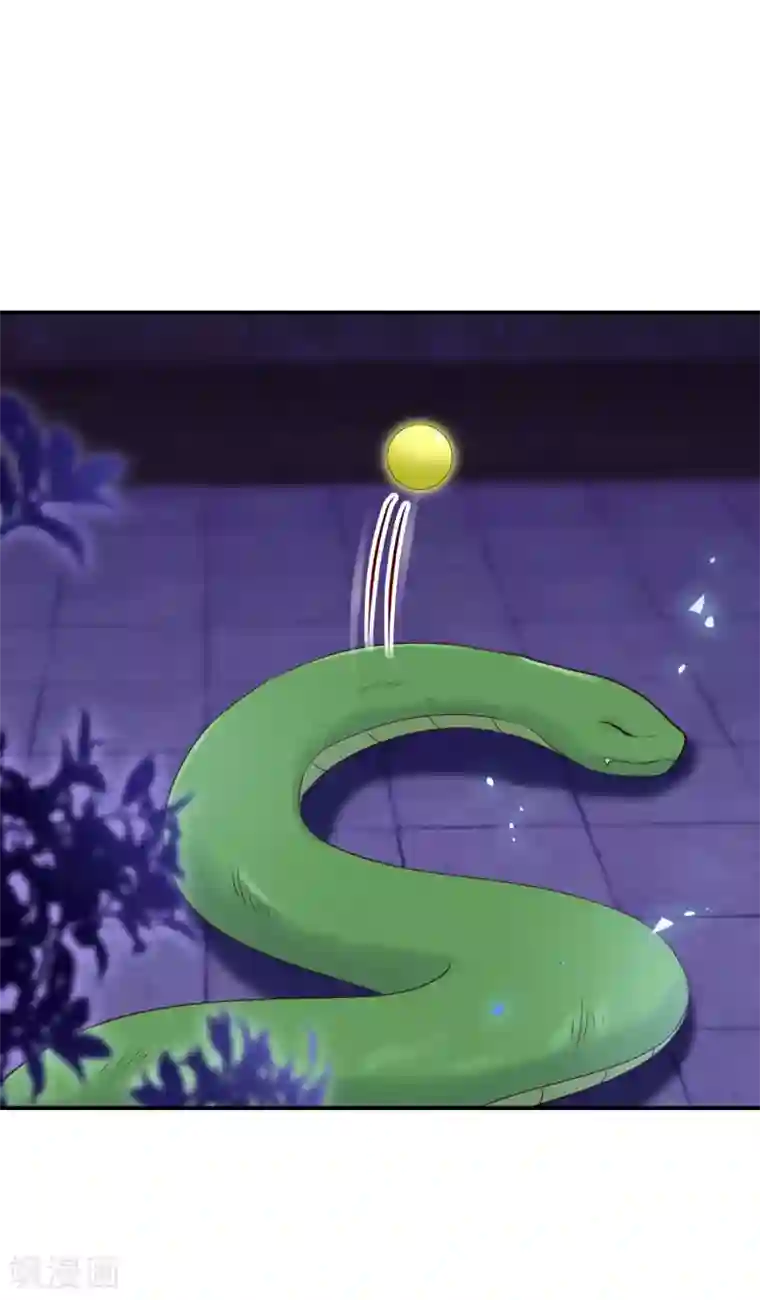 逆天毒妃第129话 你就是我父亲？