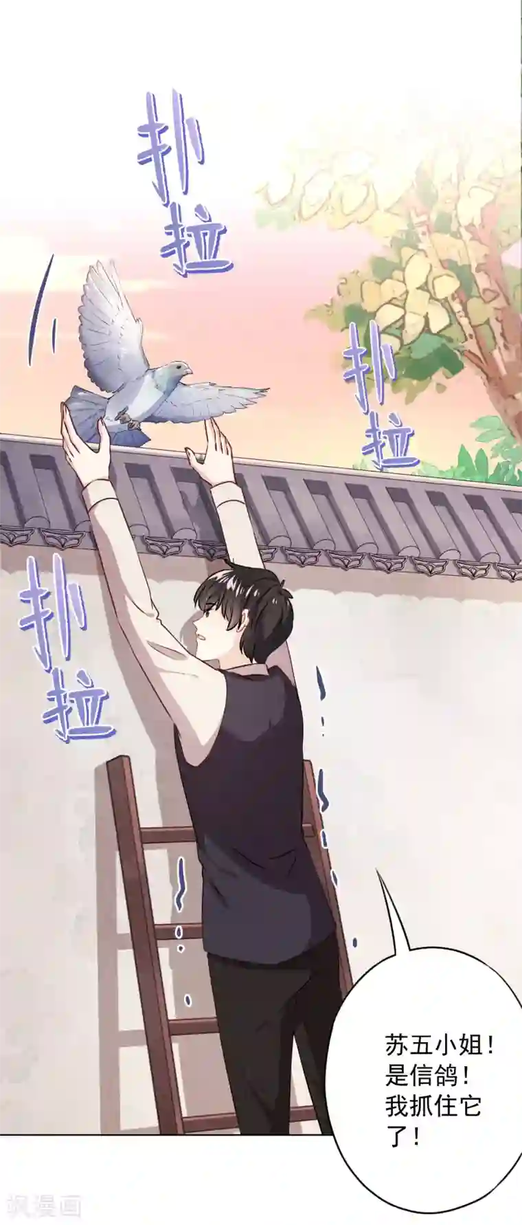 少帅,你老婆要翻天!第142话 行动信号