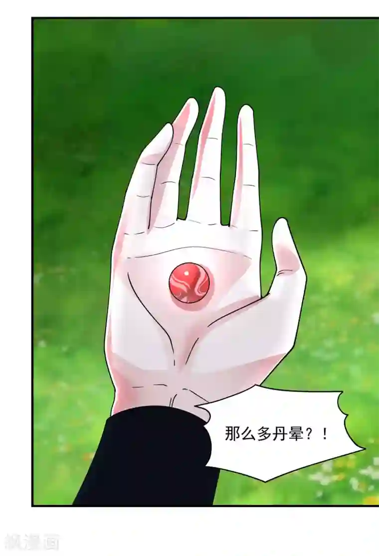 混沌丹神第170话 养精蓄锐