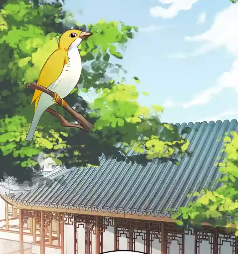 一品嫡女第183话 找乐子