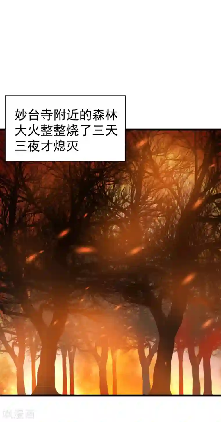 将军在上：穿越萌妃要逆袭第48话 火灾起因