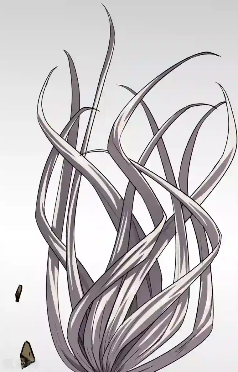 十感巡游者第36话