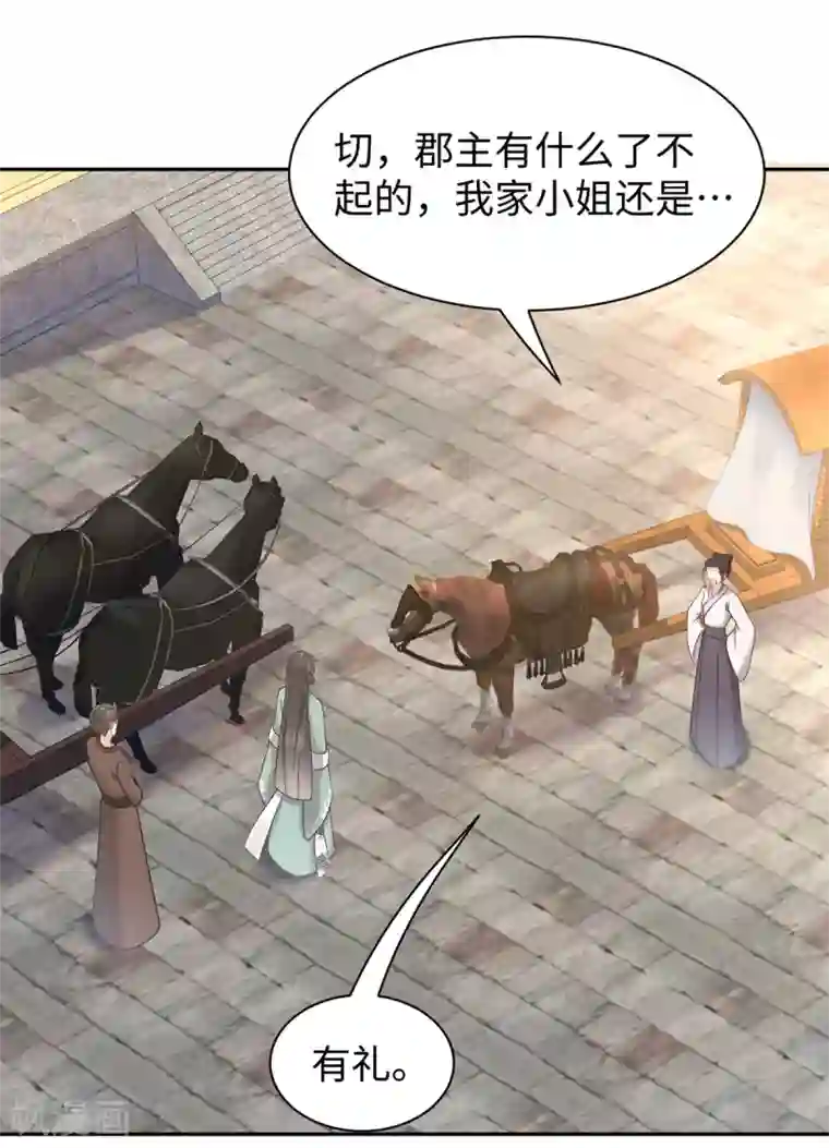 通灵王妃第62话 隐狐的过去