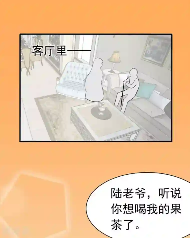 婚情荡漾：陆先生，追妻请排队第58话 悔婚