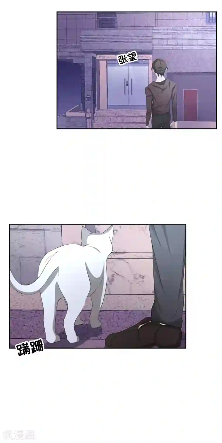 影子侦探第33话 案发现场的偶遇