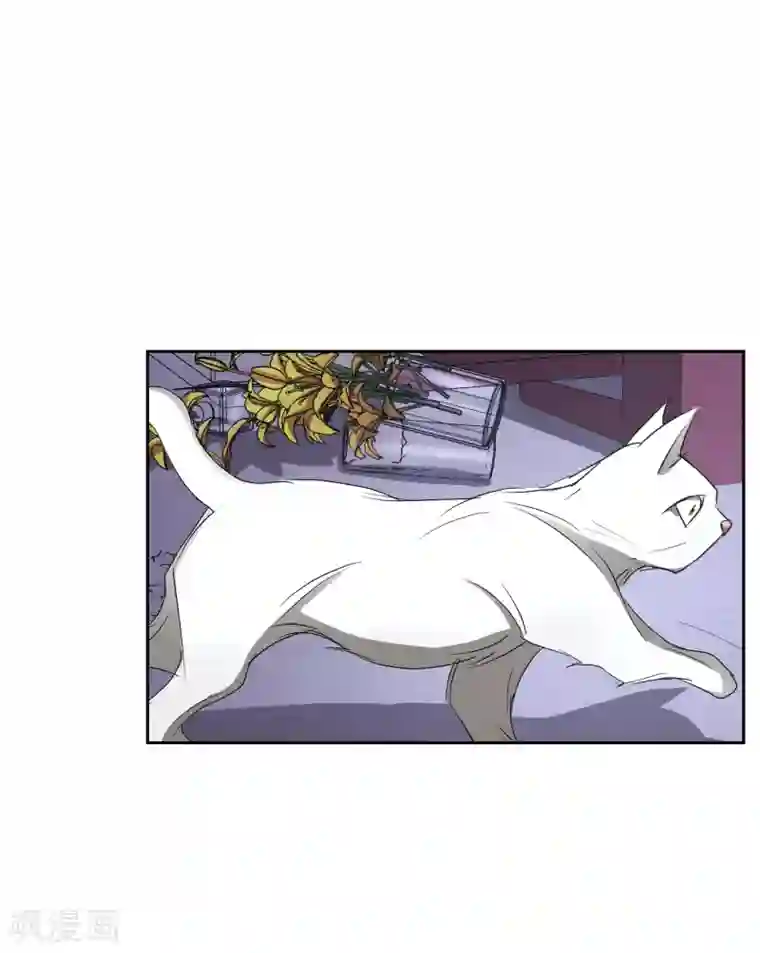 影子侦探第33话 案发现场的偶遇