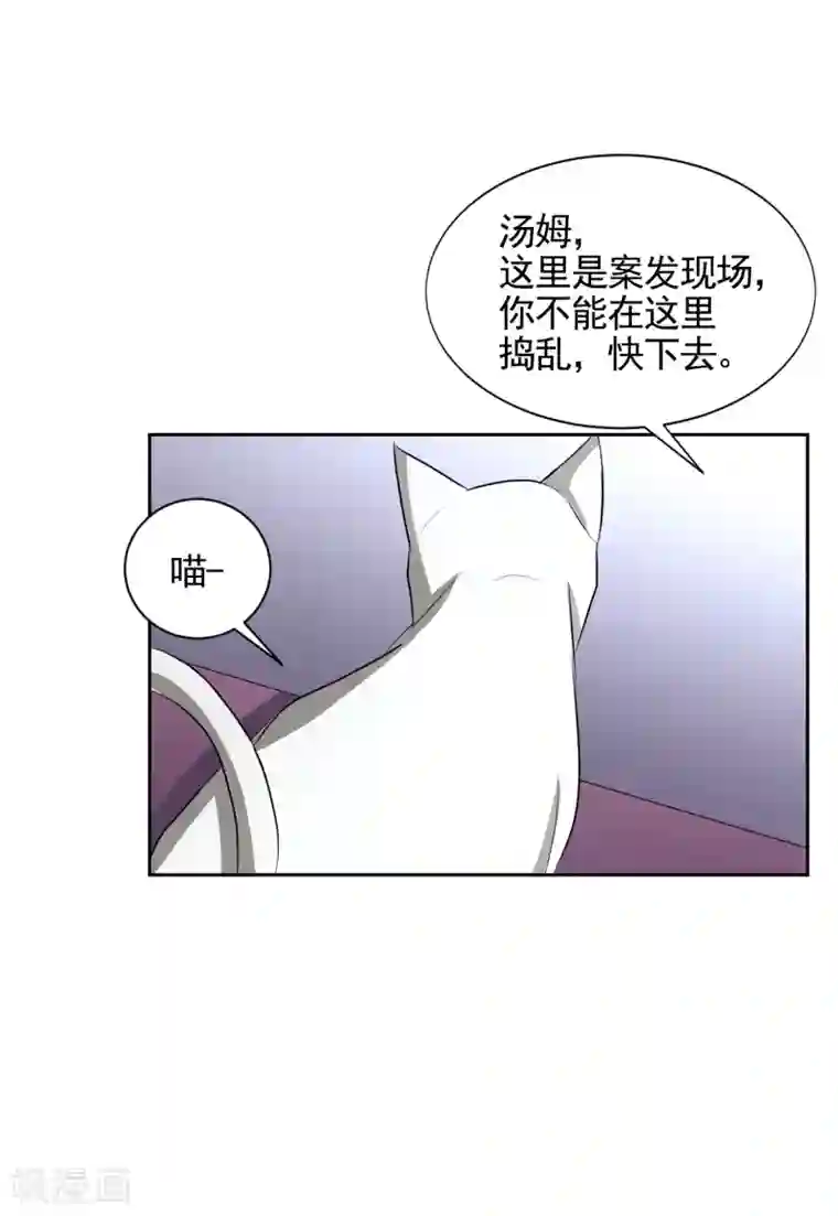 影子侦探第33话 案发现场的偶遇