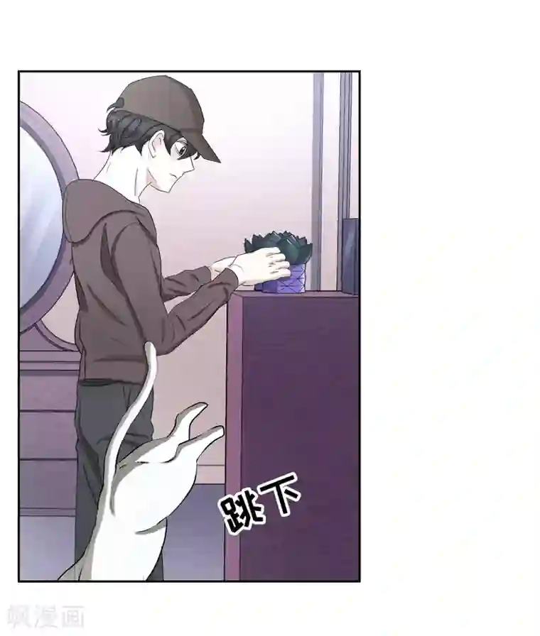 影子侦探第33话 案发现场的偶遇