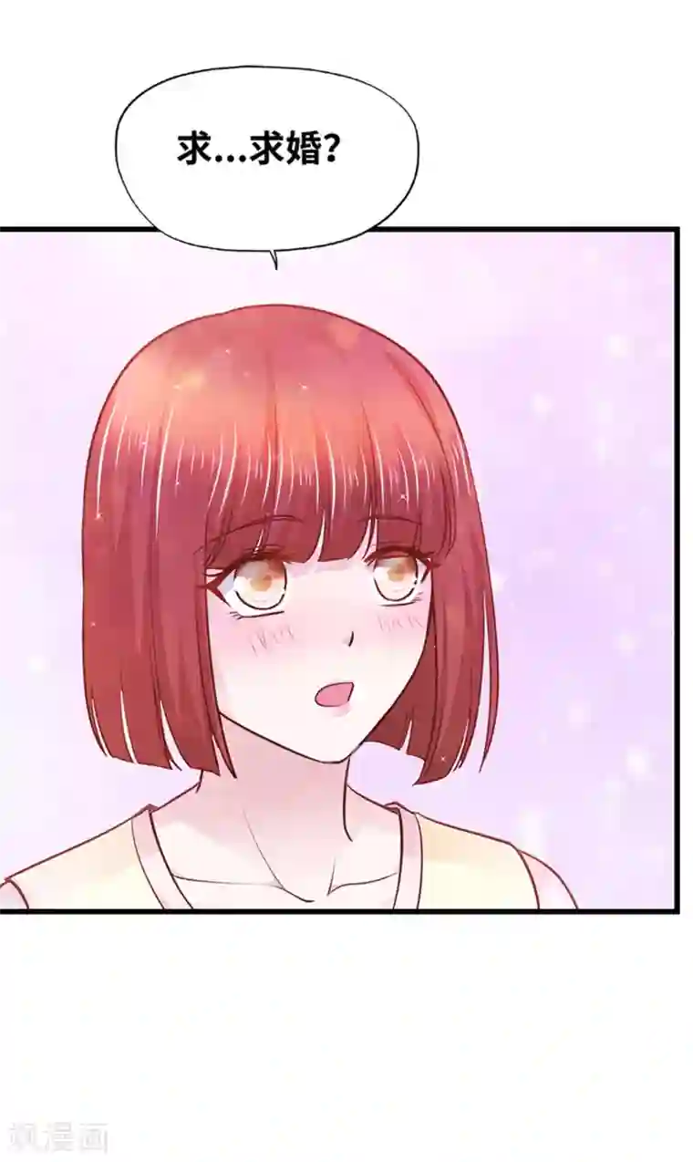 陆少的暖婚新妻最终话