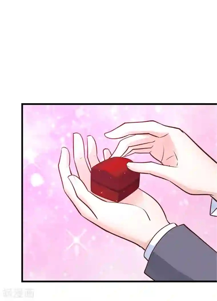 陆少的暖婚新妻最终话