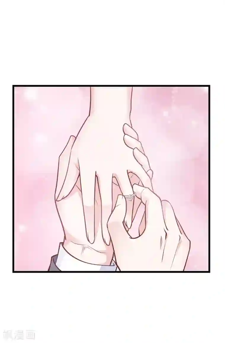 陆少的暖婚新妻最终话