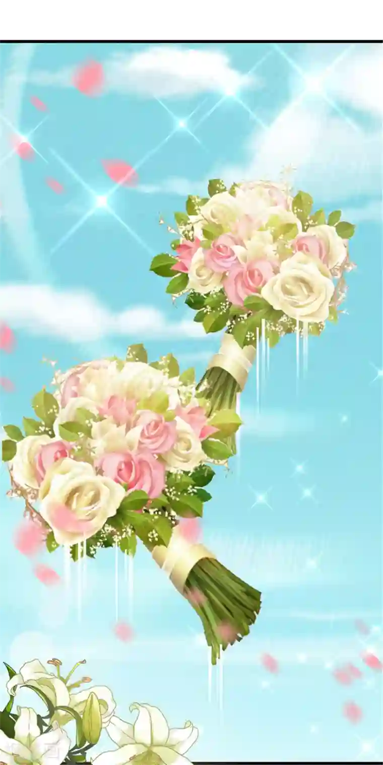 陆少的暖婚新妻最终话