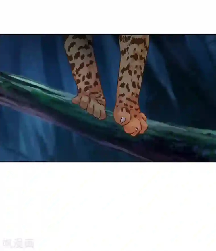 穿越王妃要升级第235话 狸猫助战