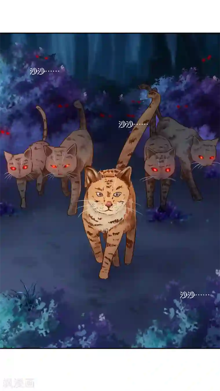 穿越王妃要升级第235话 狸猫助战