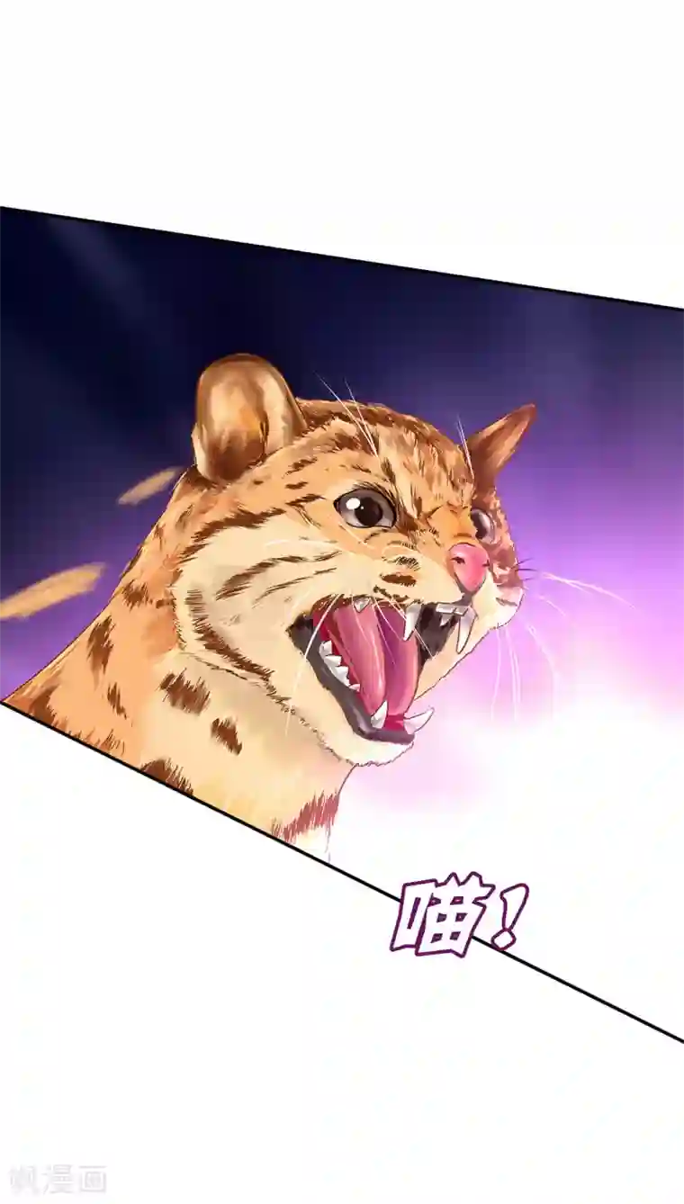 穿越王妃要升级第235话 狸猫助战