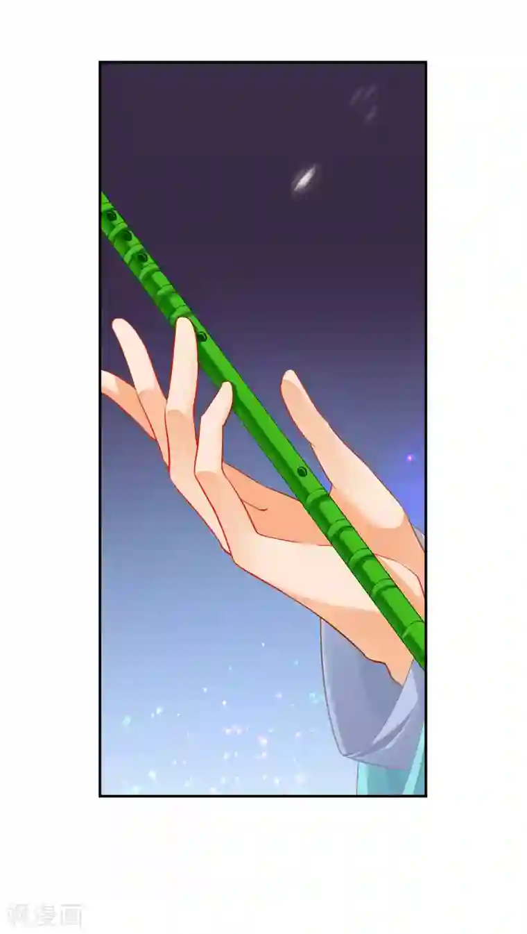 穿越王妃要升级第235话 狸猫助战