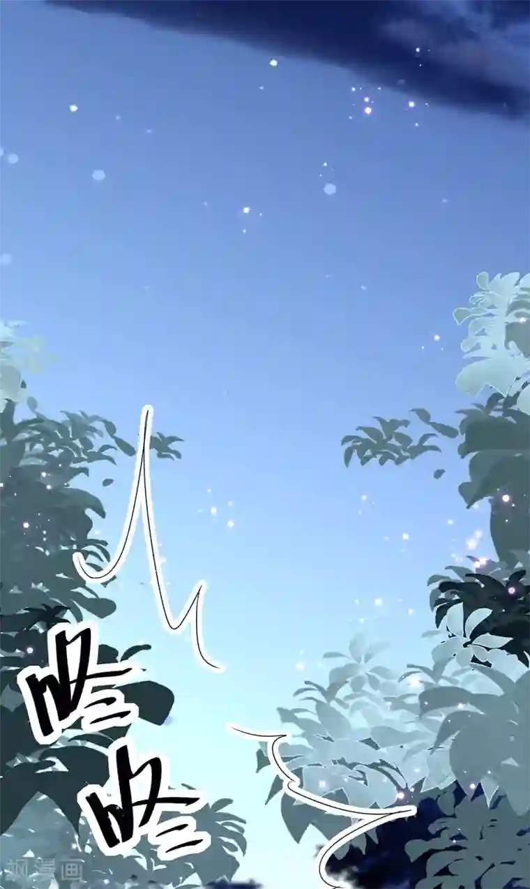 纯情陆少第244话 一心一意找宁宁