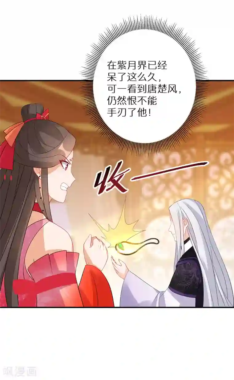 逆天毒妃第140话 再见唐楚风