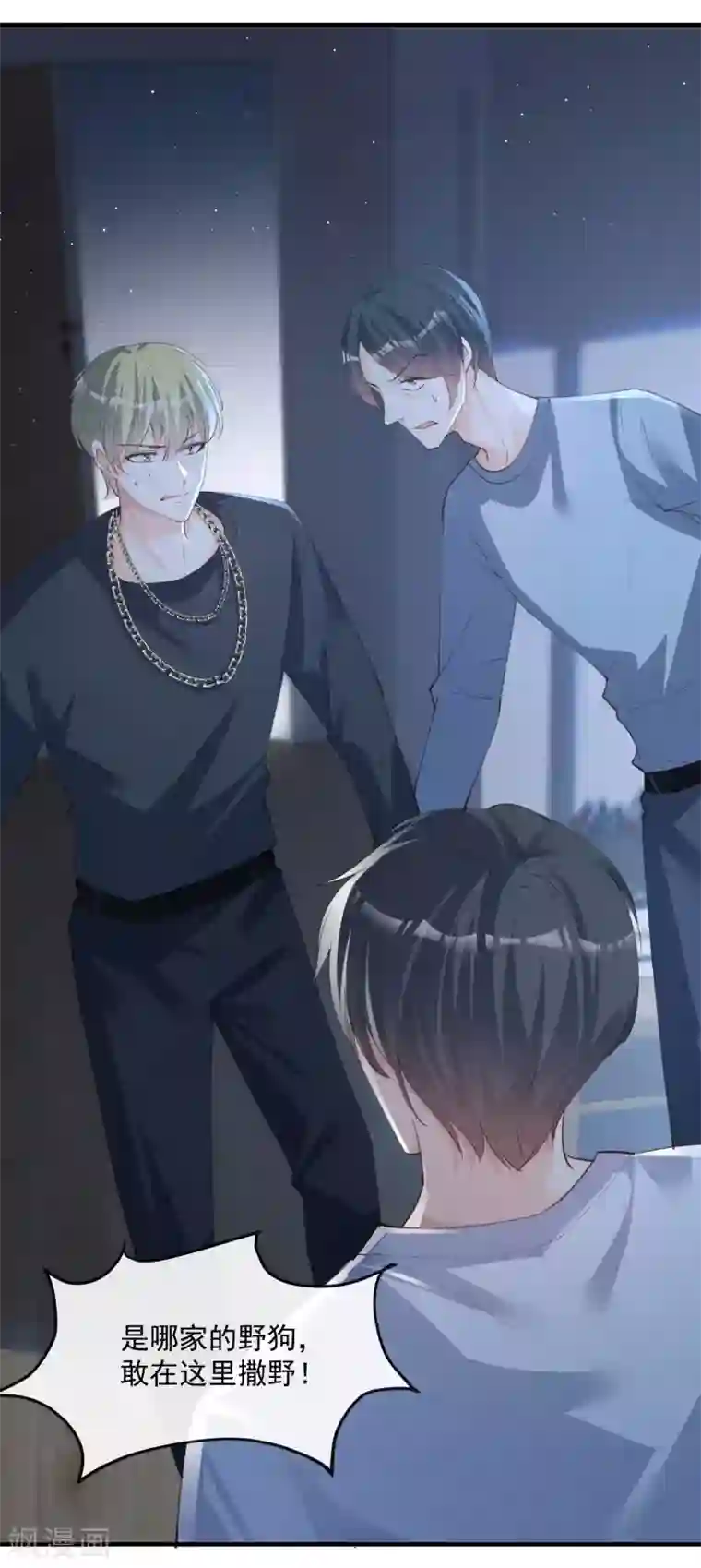 陆总，你老婆又上热搜啦！第19话 危机！有人来拍艳照！