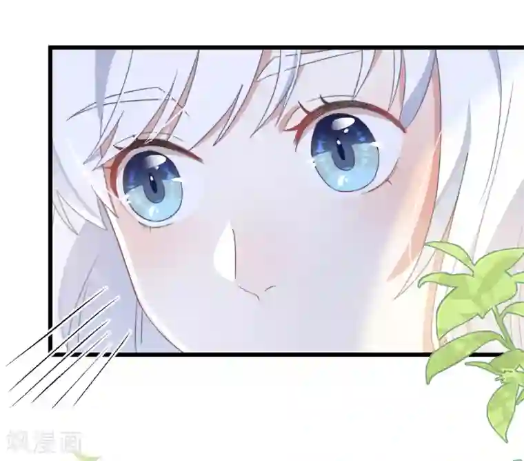 痴汉王爷的宠妻攻略第7话 绿茶找上门